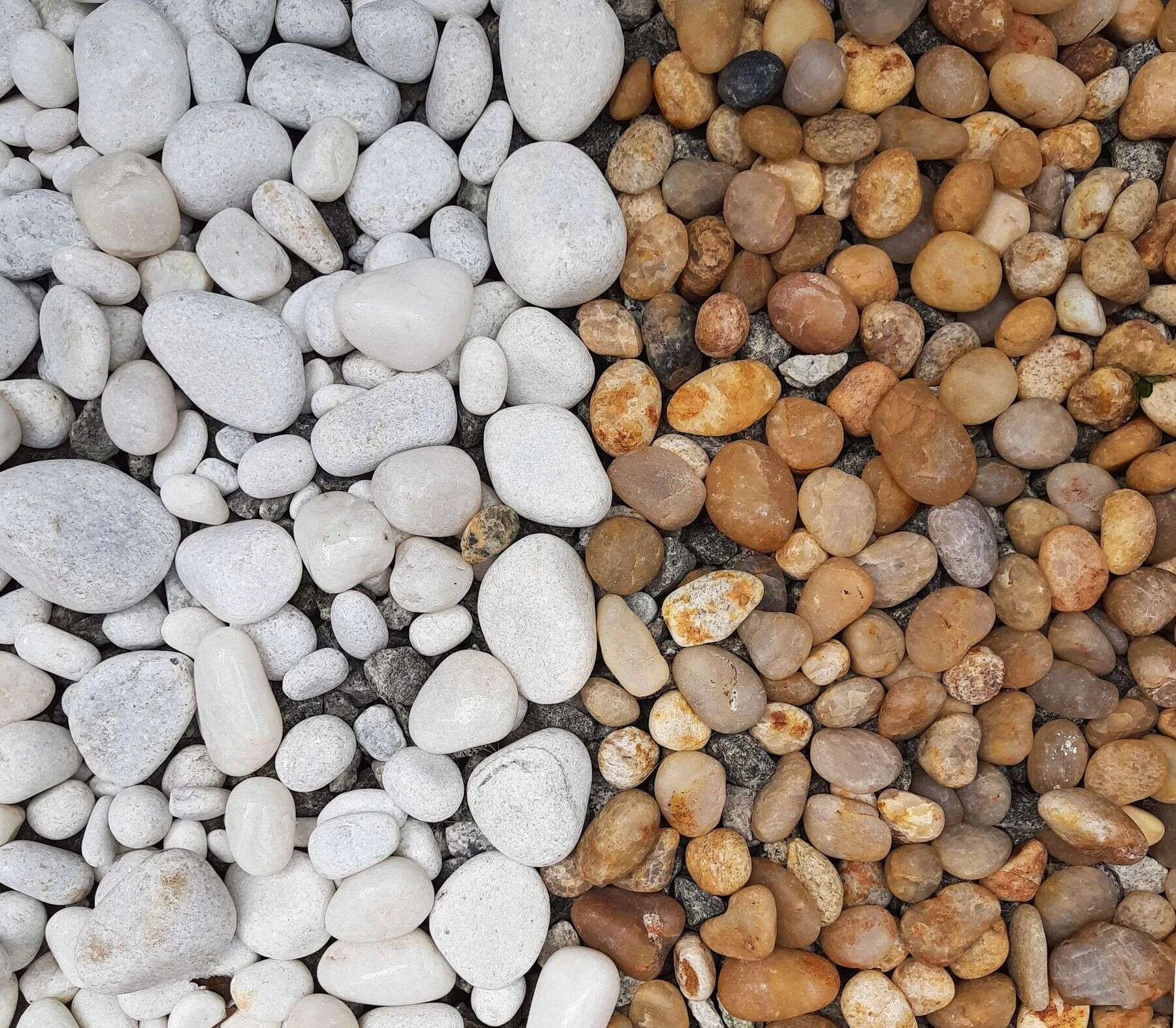 White and brown river pebbles sorted by colour