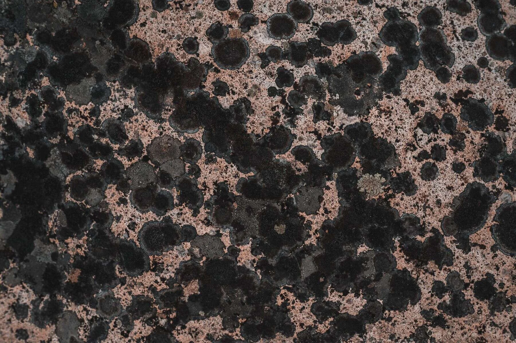 Red and black spotted granite surface close-up
