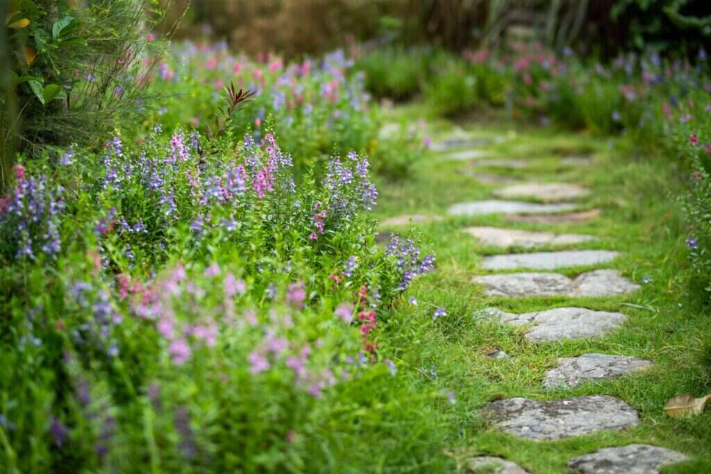 Stone stepping path through a flowering garden