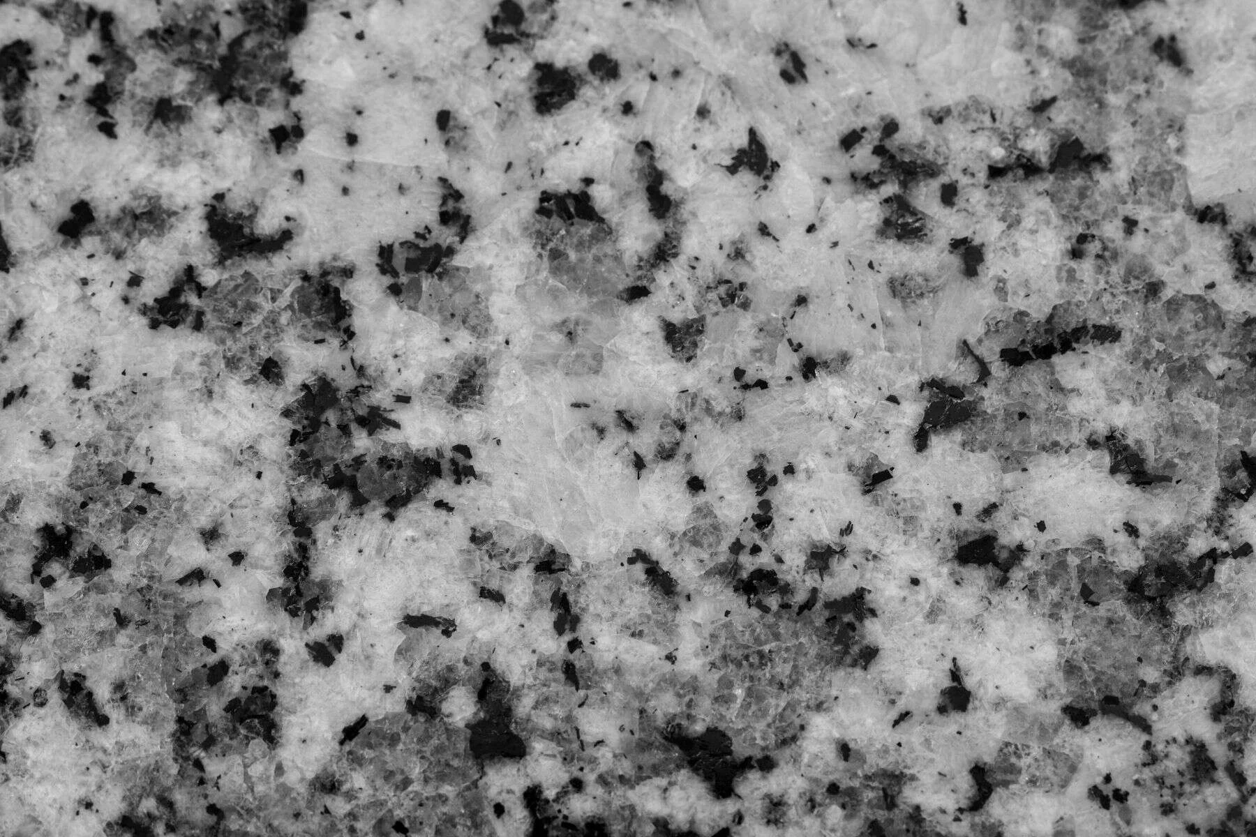 Grey and white granite texture close-up