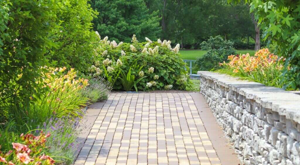 Paved garden path beside a dry stone wall