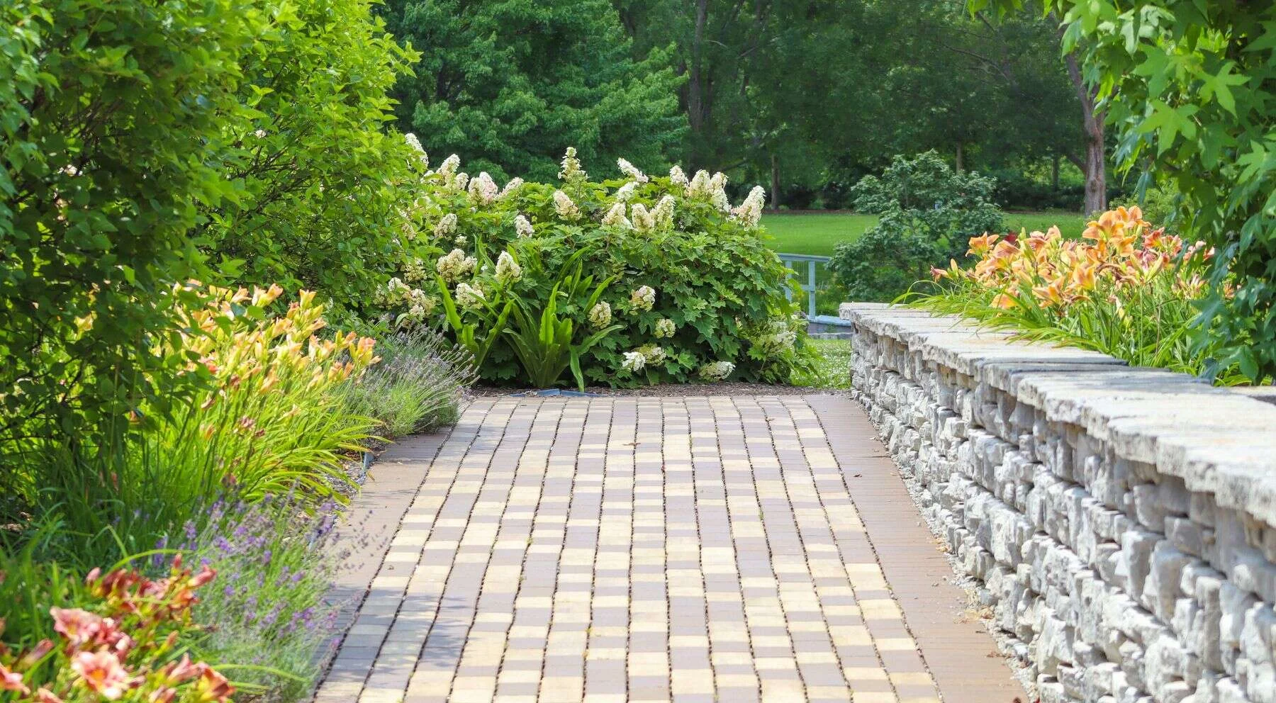 Paved garden path beside a dry stone wall