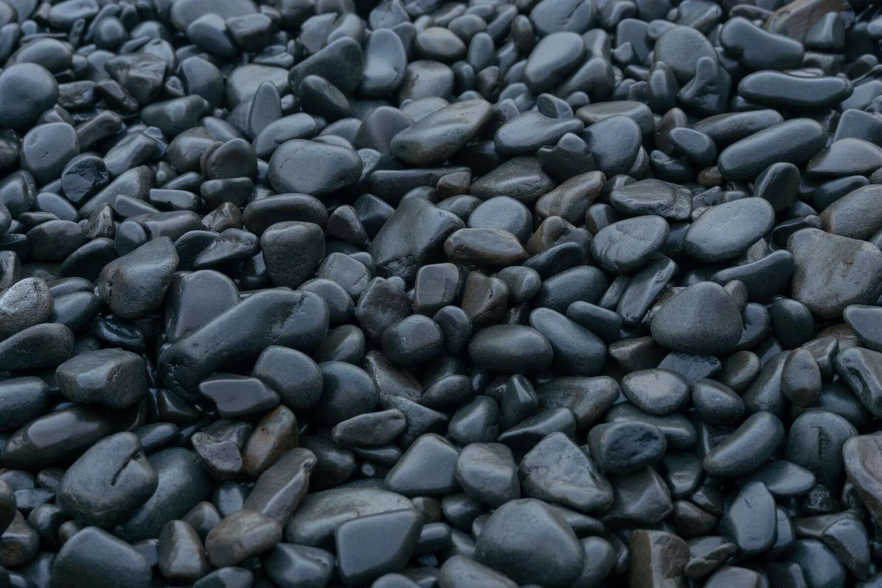 Smooth black and grey pebbles close-up